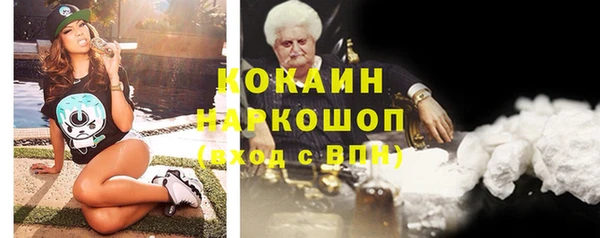 крисы Гусев