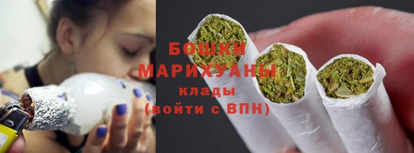 крисы Гусев