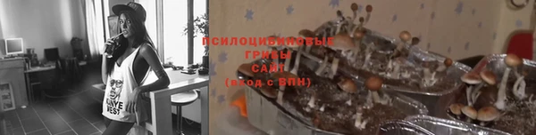 спайс Гусиноозёрск