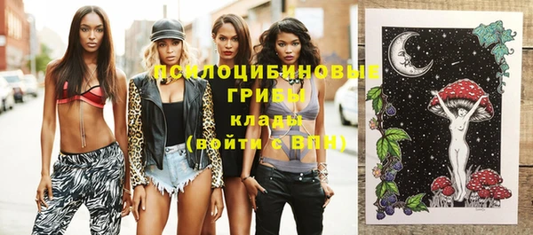 крисы Гусев
