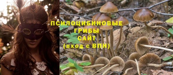 крисы Гусев