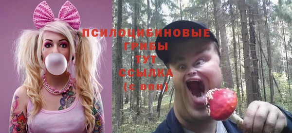 спайс Гусиноозёрск