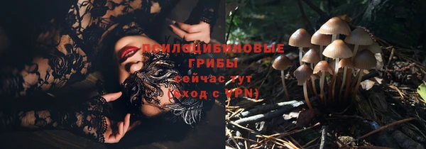 ECSTASY Зеленокумск